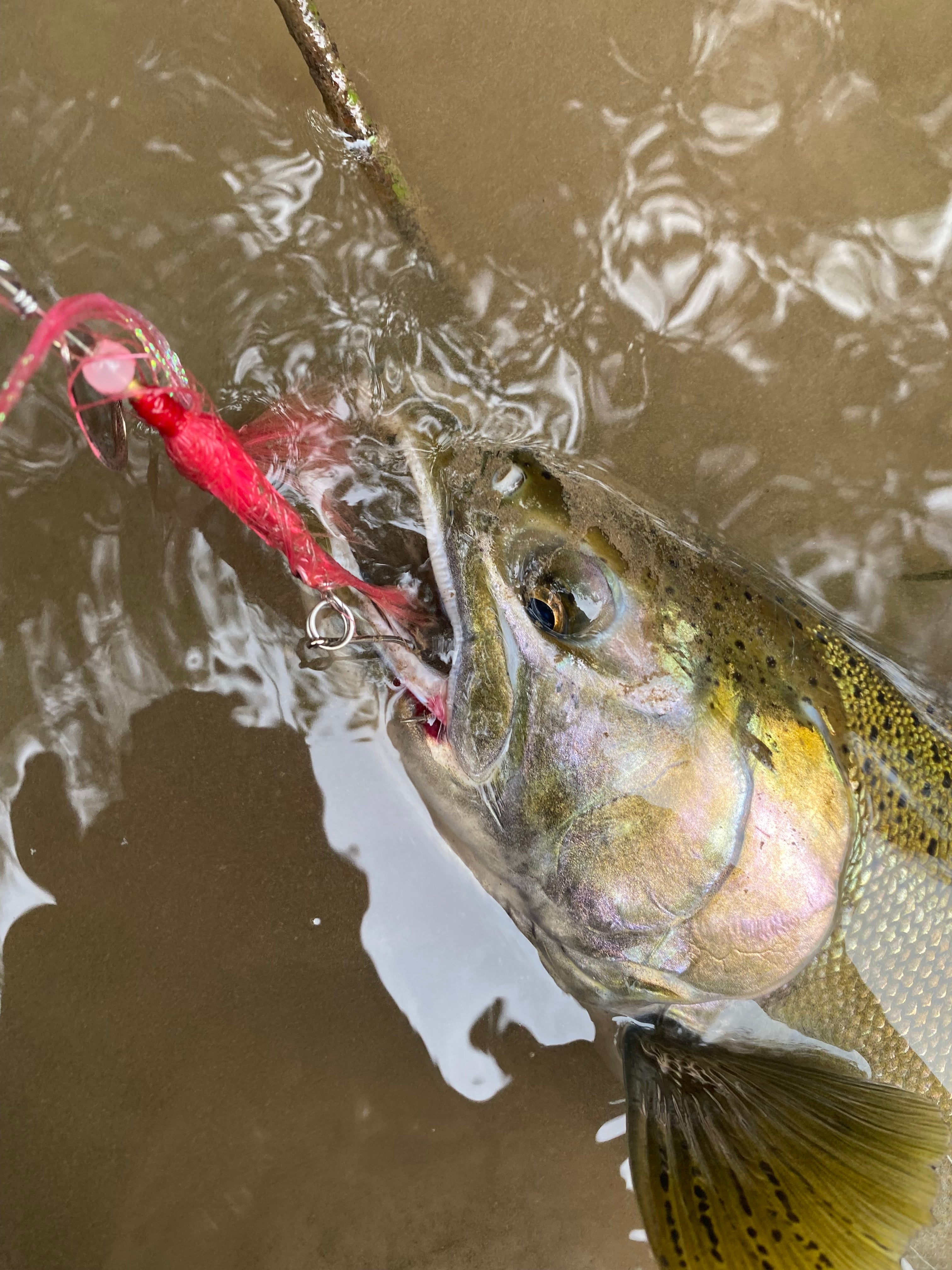 Skirt Spins Series Spinners